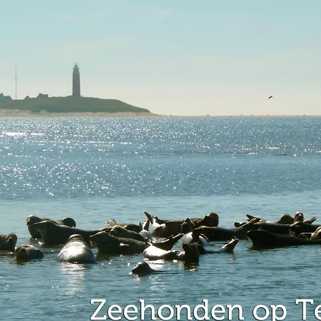 In Friesland Near The Wadden Sea 公寓