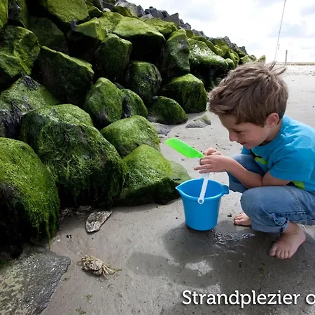 In Friesland Near The Wadden Sea 公寓 Westermient