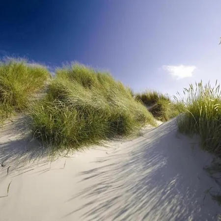 公寓 In Friesland Near The Wadden Sea Westermient