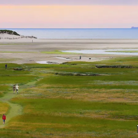 In Friesland Near The Wadden Sea * Westermient