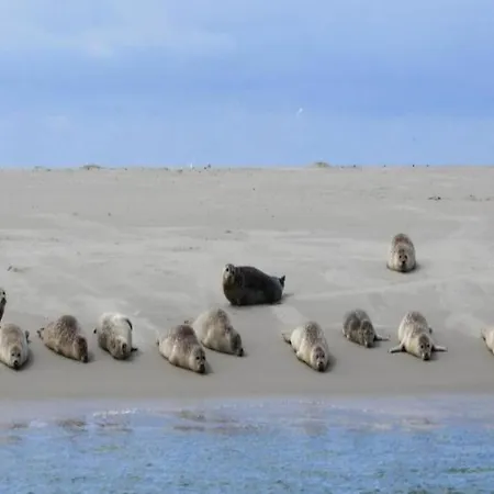 公寓 In Friesland Near The Wadden Sea Westermient
