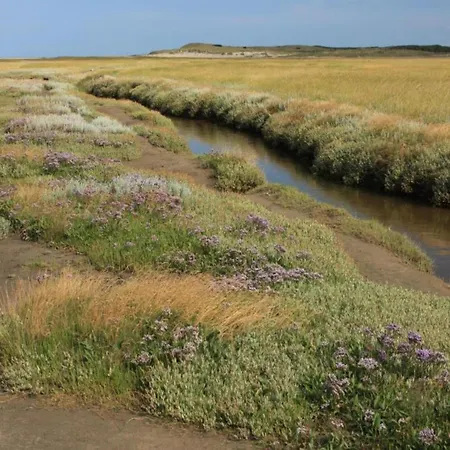 公寓 In Friesland Near The Wadden Sea